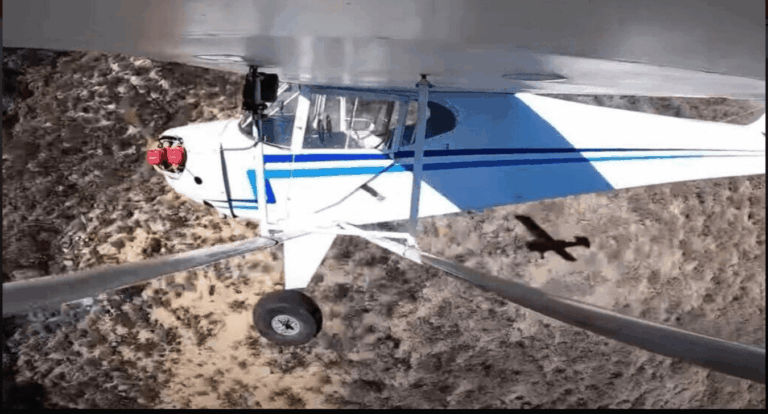 חצי שנת מאסר ליוטיובר שריסק את מטוסו בשמי דרום קליפורניה ו"ניצל בנס". צפו בסרטון