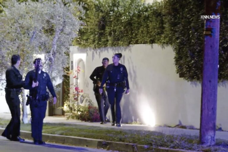הצלחה לא שגרתית באנסינו: הפורצים שדדו מבית תיקים ותכשיטים בשווי 300 אלף דולר; השוטרים החזירו את הפריטים במהירות לבעליהם