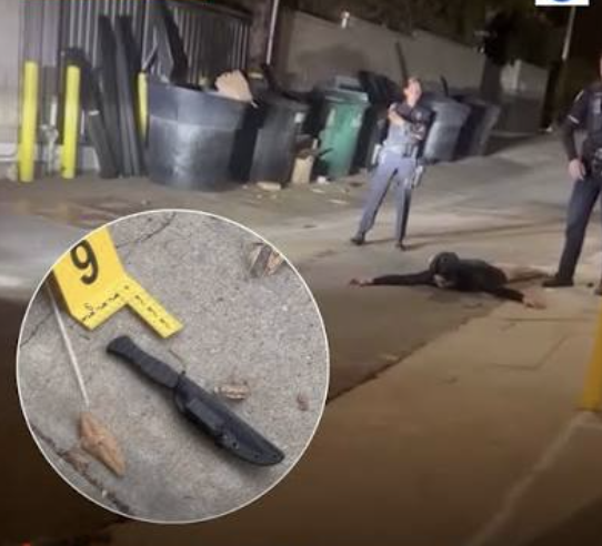 הרצח שמסעיר את בוורלי הילס: צעיר בן 19 דקר הומלס למוות בסמטה חשוכה וטען להגנה עצמית